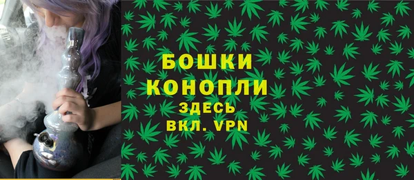 мяу мяу мука Абаза