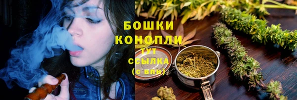 мяу мяу мука Абаза