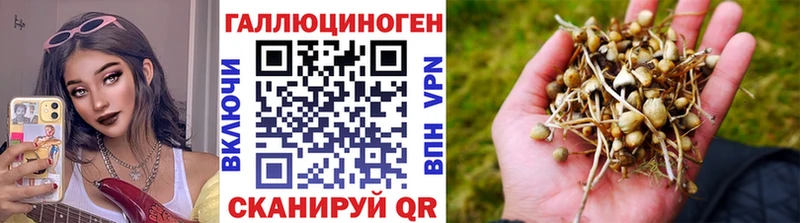 Псилоцибиновые грибы прущие грибы мега как зайти Пойковский
